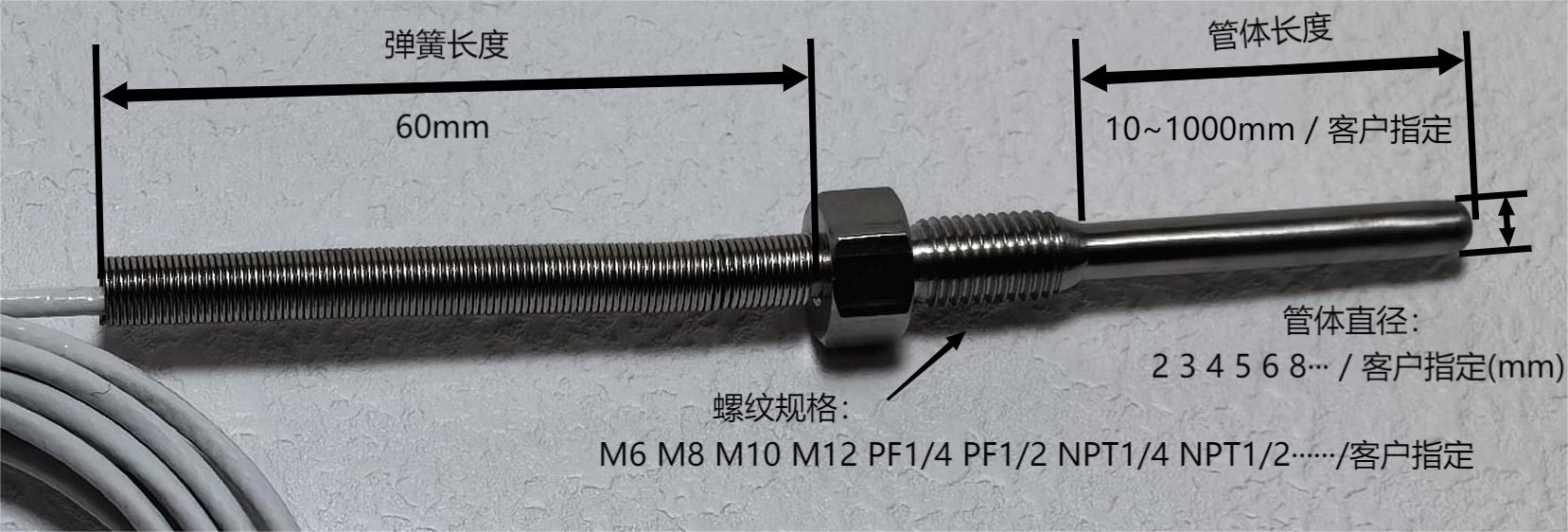 BY-Z02.jpg